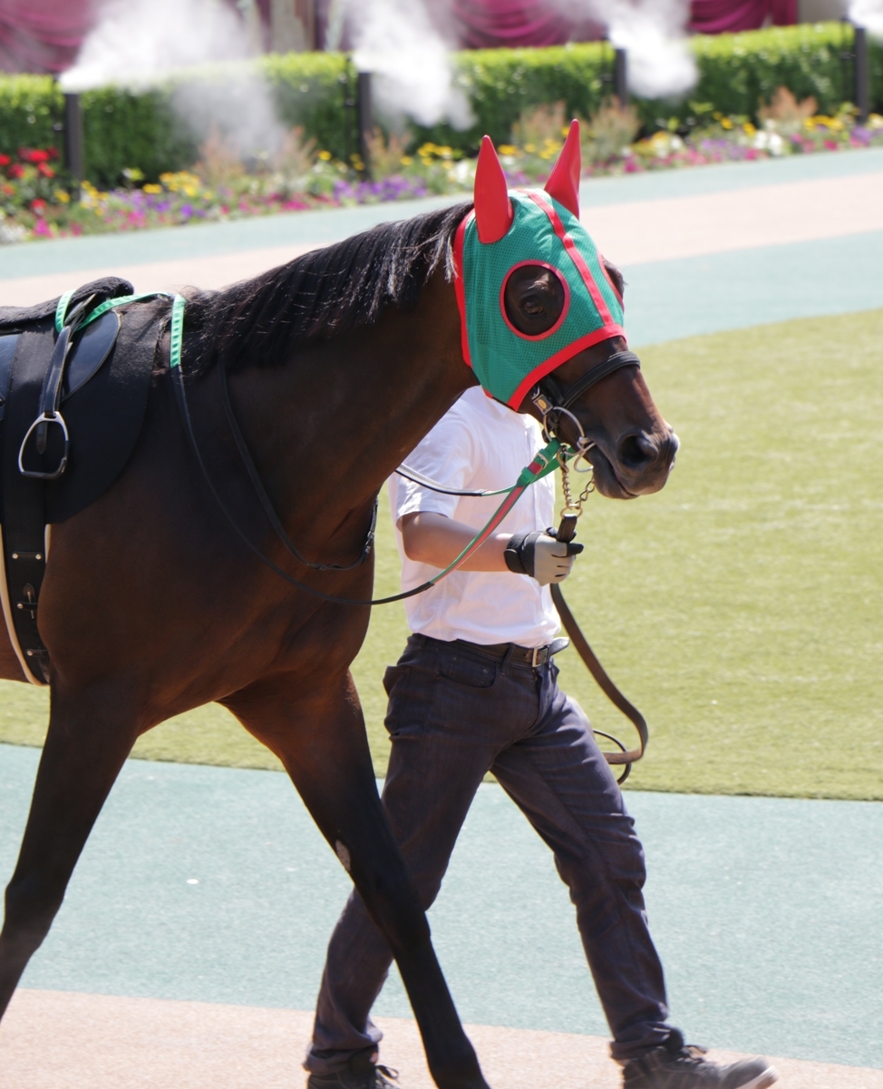 f:id:shitooo:20210526211854j:plain