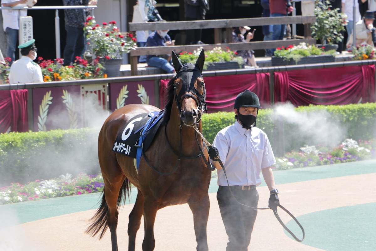 f:id:shitooo:20210526211959j:plain