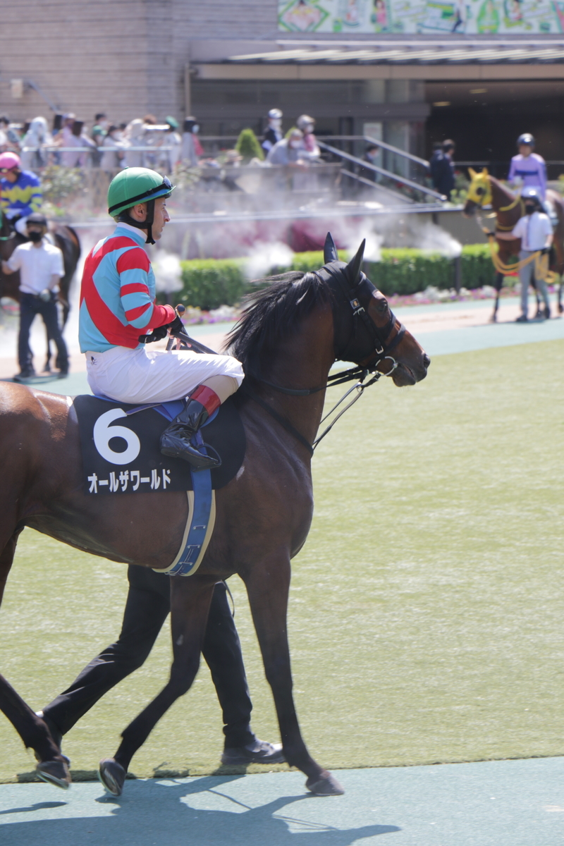 f:id:shitooo:20210526212411j:plain