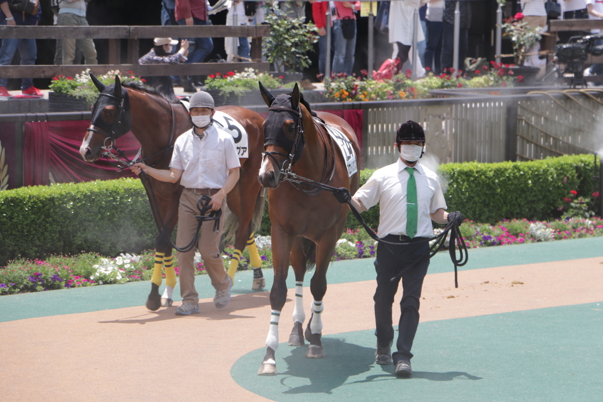 f:id:shitooo:20210526212546j:plain