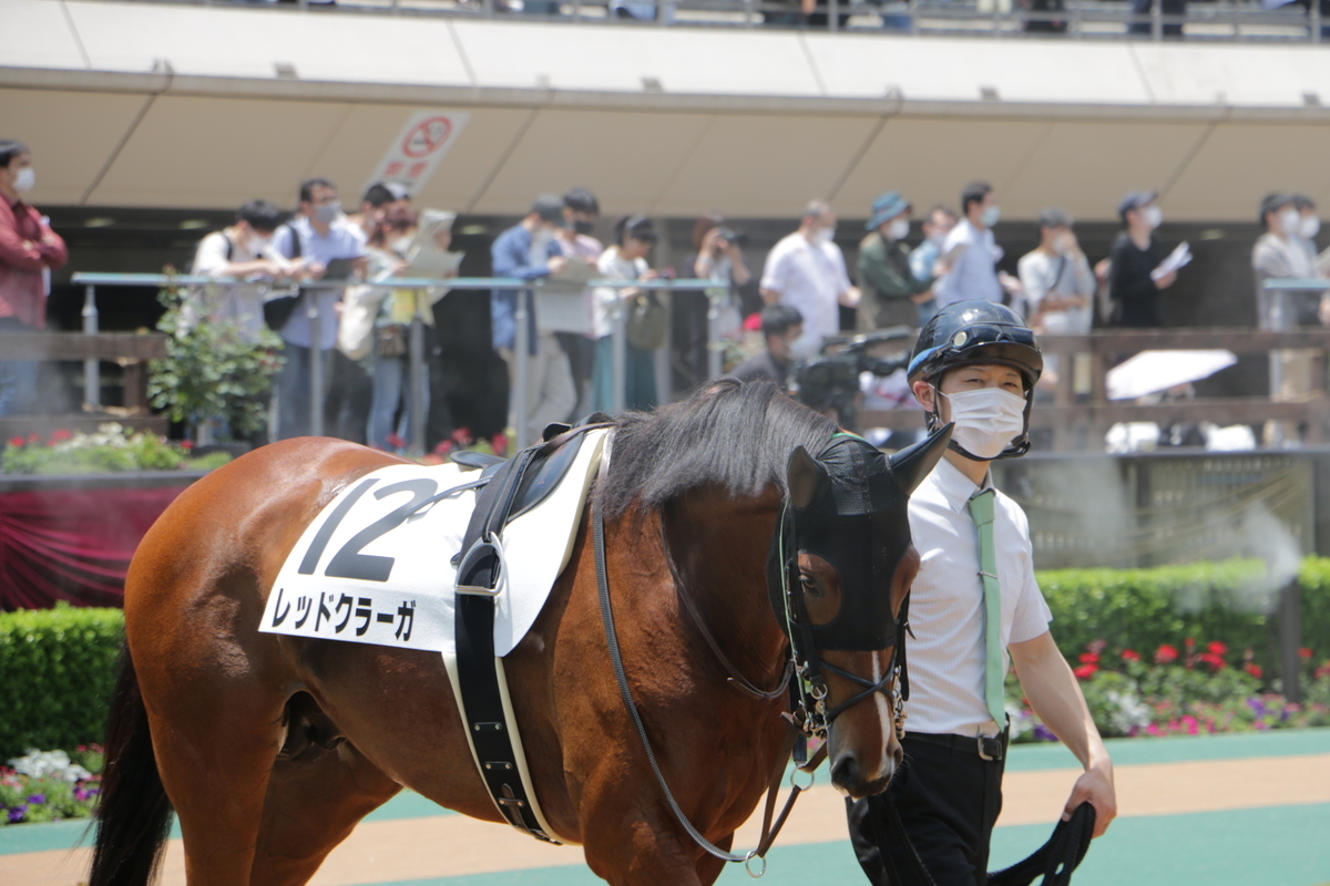 f:id:shitooo:20210526212905j:plain