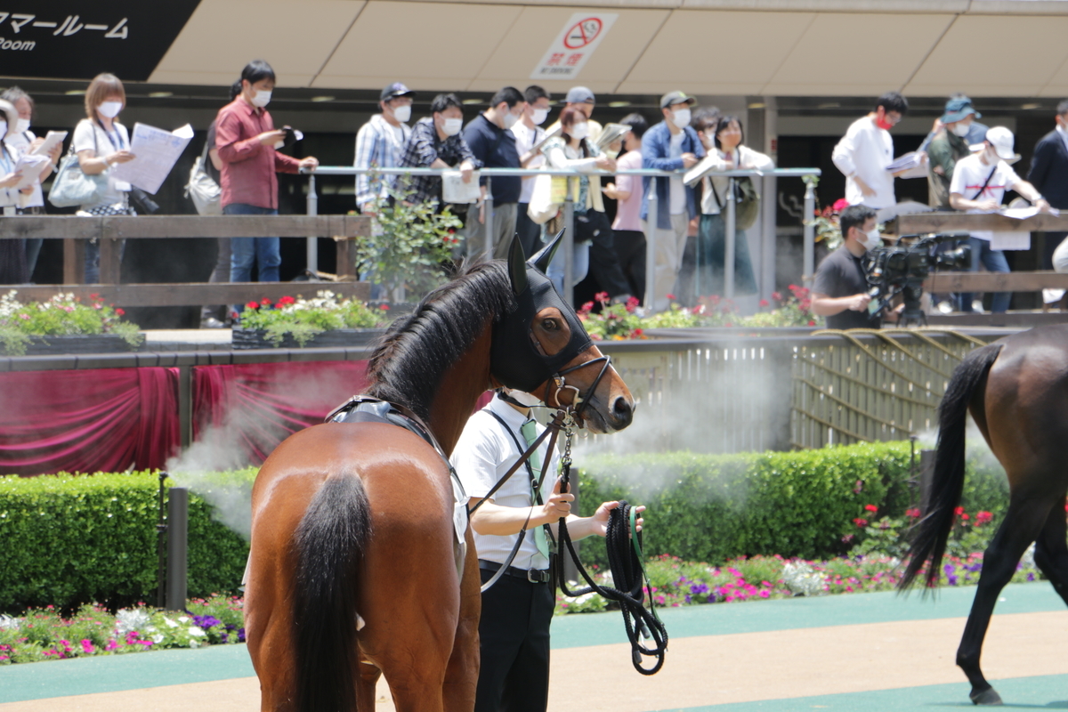 f:id:shitooo:20210526212940j:plain