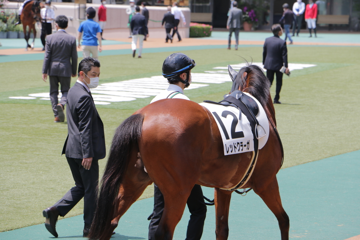 f:id:shitooo:20210526213152j:plain