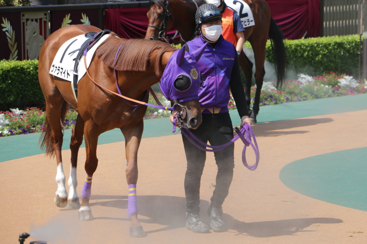 f:id:shitooo:20210531093053j:plain