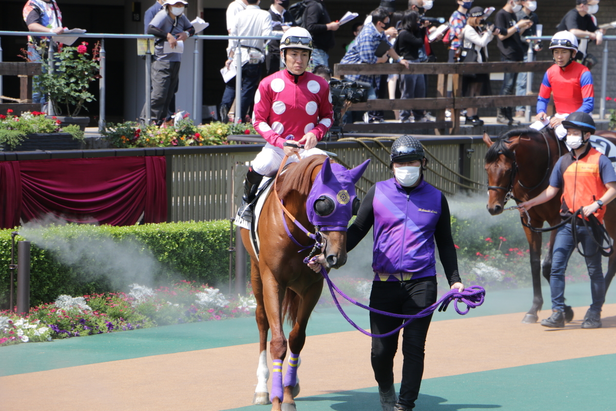 f:id:shitooo:20210531093057j:plain