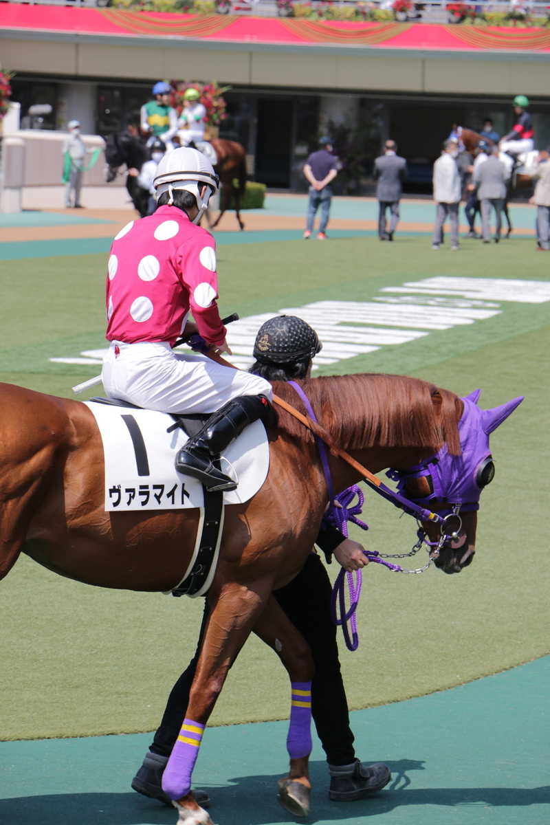 f:id:shitooo:20210531093121j:plain