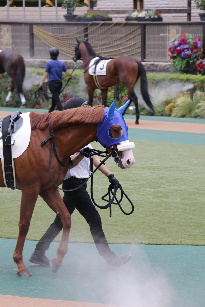 f:id:shitooo:20210531093314j:plain