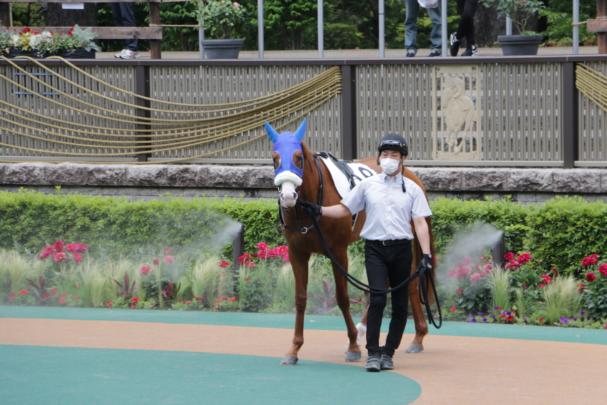 f:id:shitooo:20210531093347j:plain