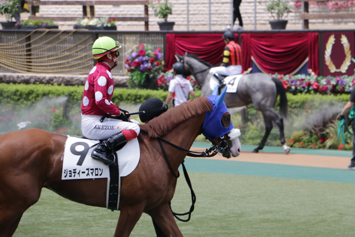 f:id:shitooo:20210531093411j:plain