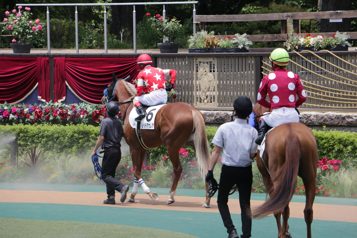 f:id:shitooo:20210531093446j:plain