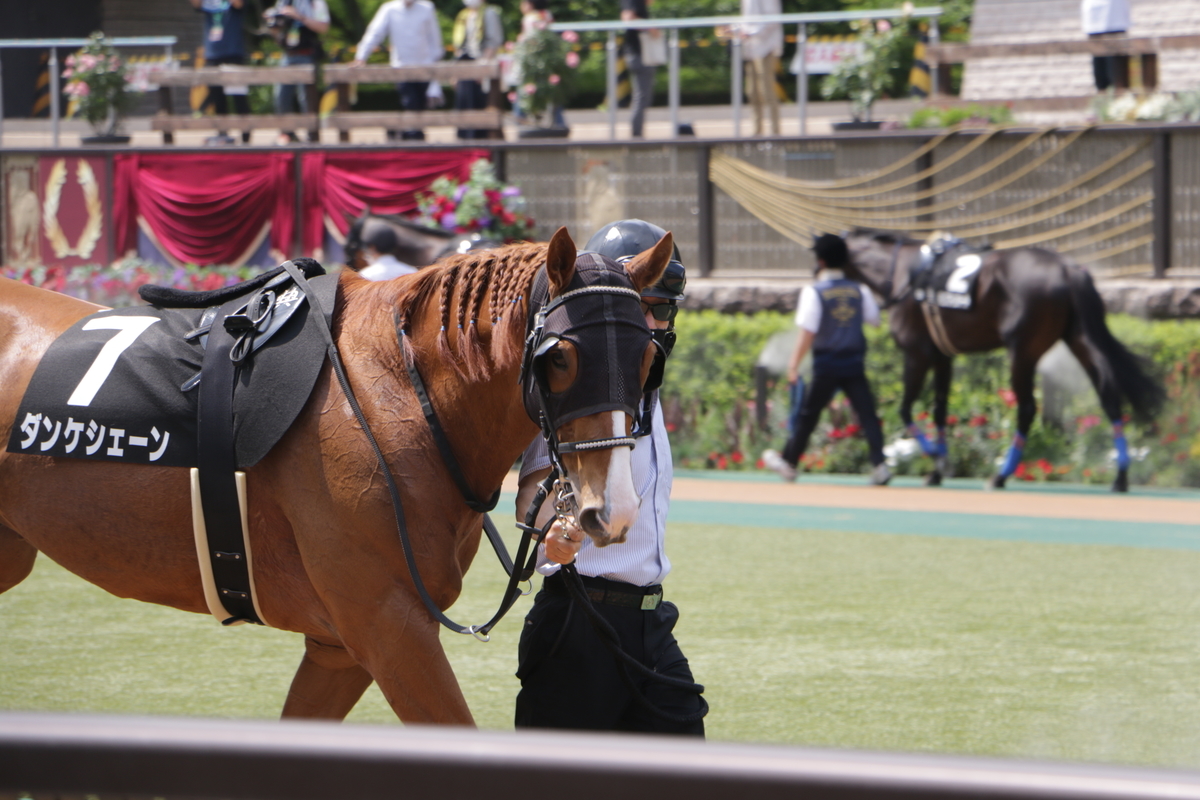 f:id:shitooo:20210531093742j:plain