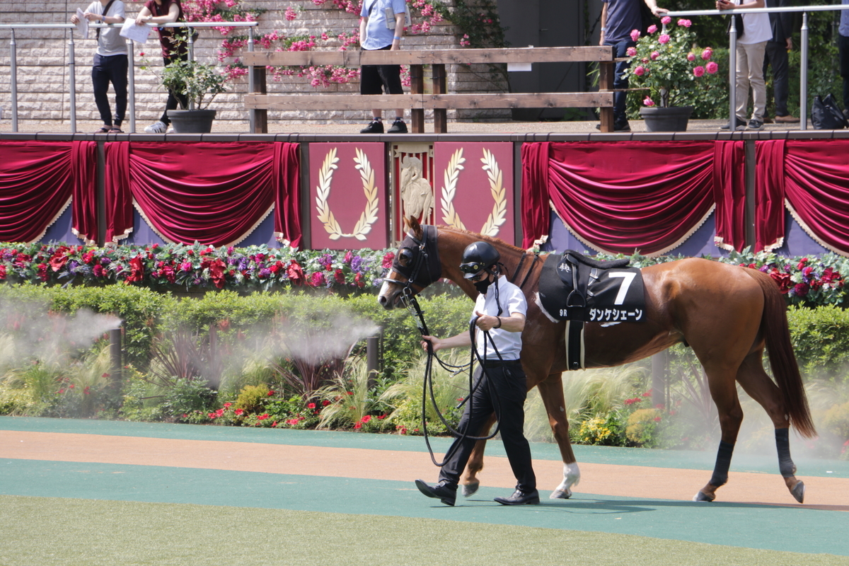 f:id:shitooo:20210531093804j:plain