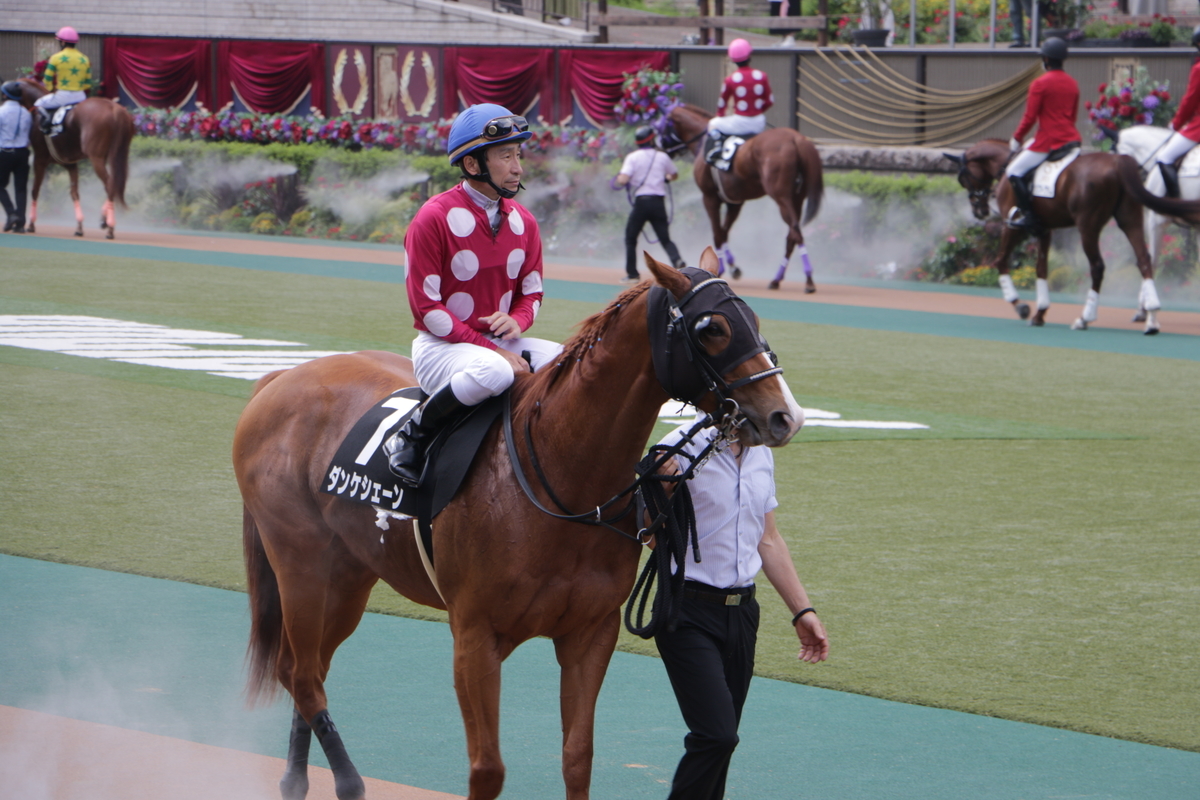 f:id:shitooo:20210531093905j:plain