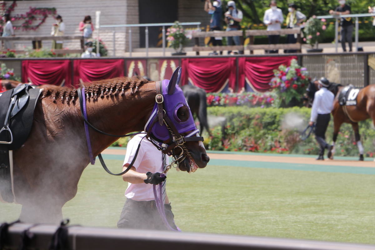 f:id:shitooo:20210531094027j:plain