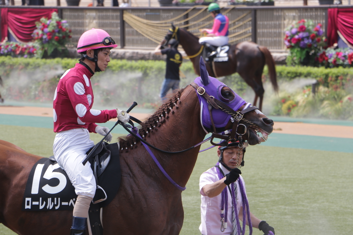 f:id:shitooo:20210531094037j:plain