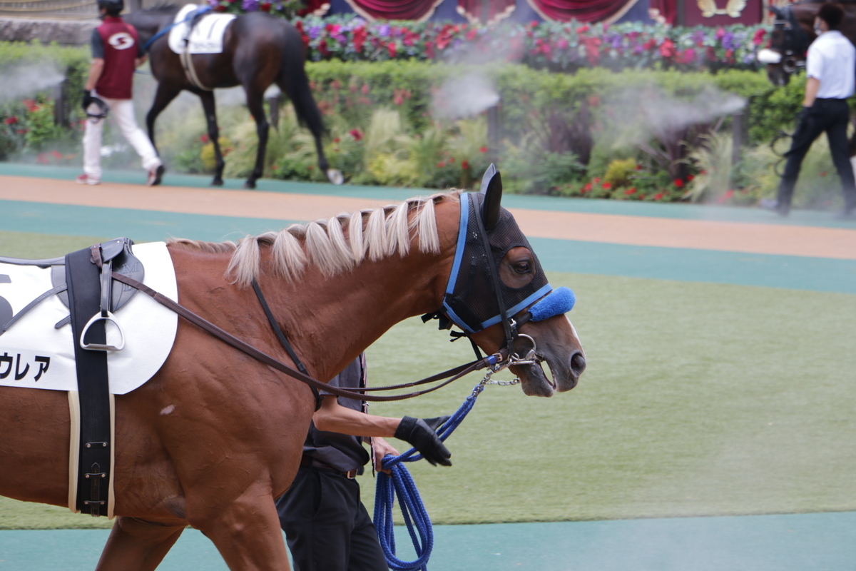 f:id:shitooo:20210531101320j:plain