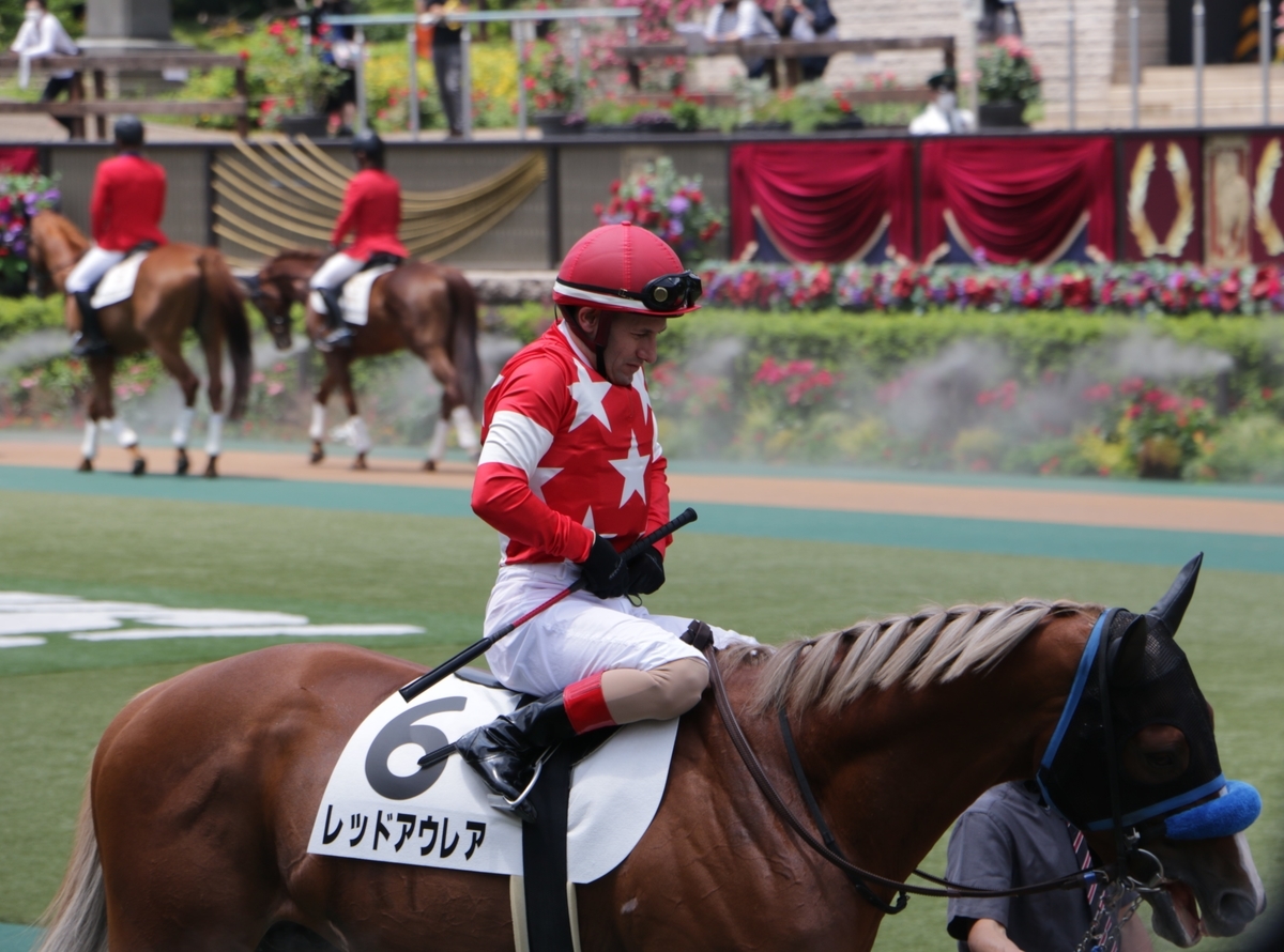 f:id:shitooo:20210531101324j:plain