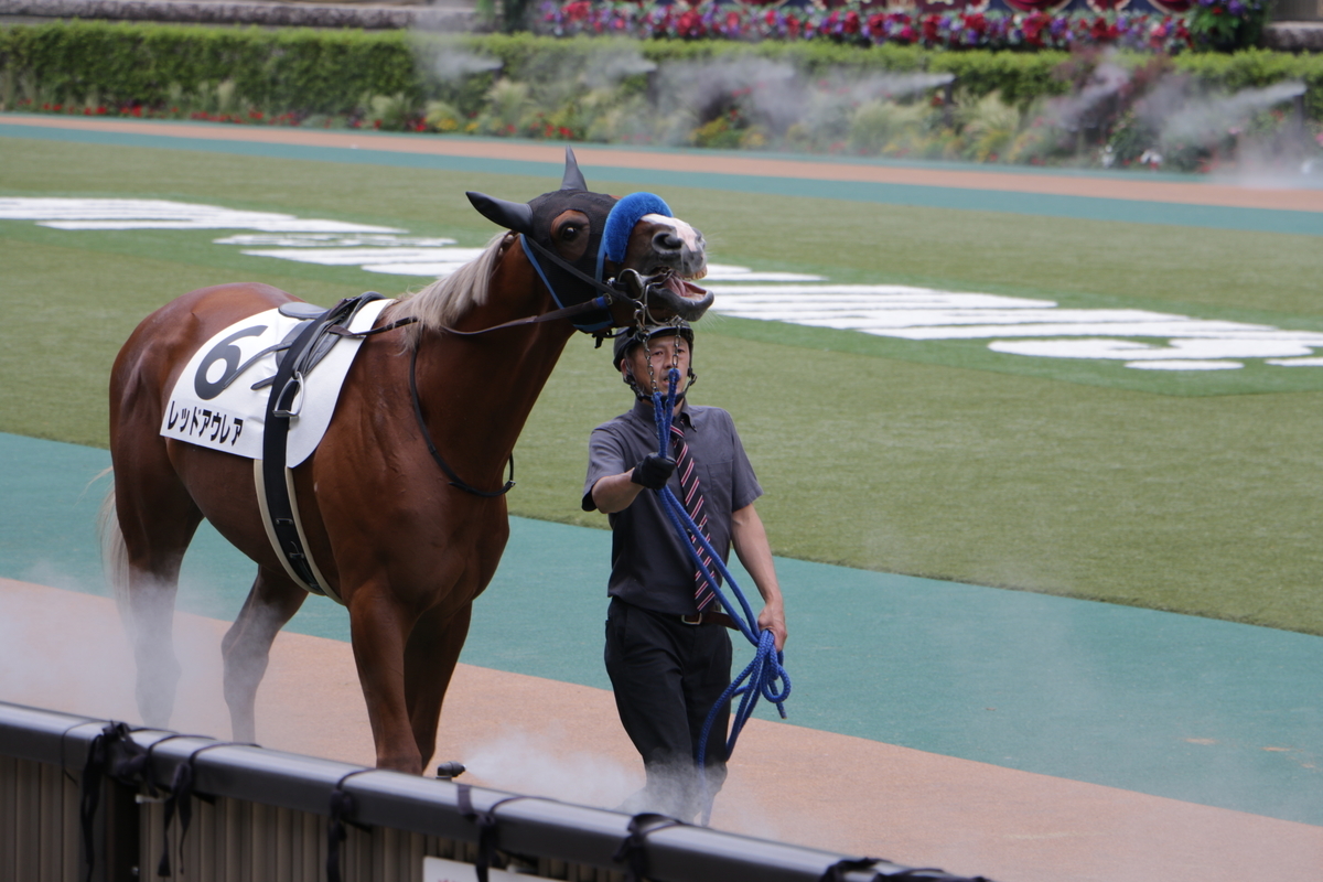 f:id:shitooo:20210531101332j:plain