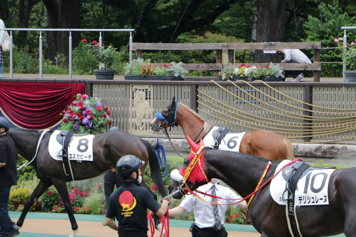 f:id:shitooo:20210531101638j:plain