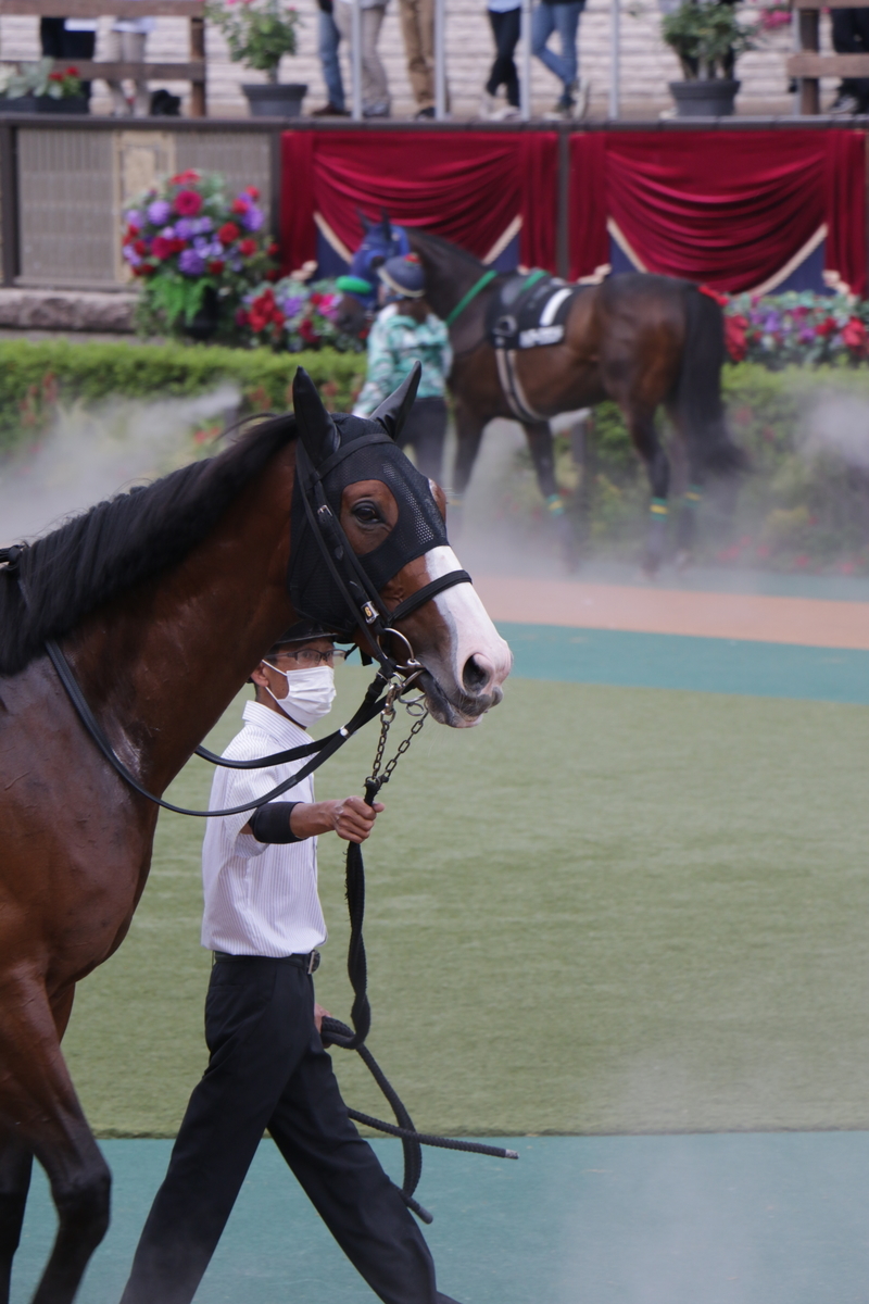 f:id:shitooo:20210531123654j:plain