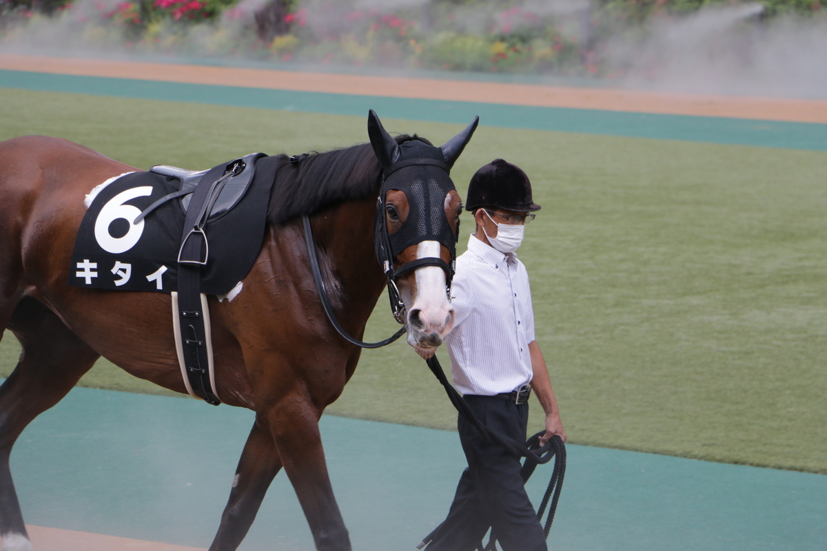 f:id:shitooo:20210531123656j:plain