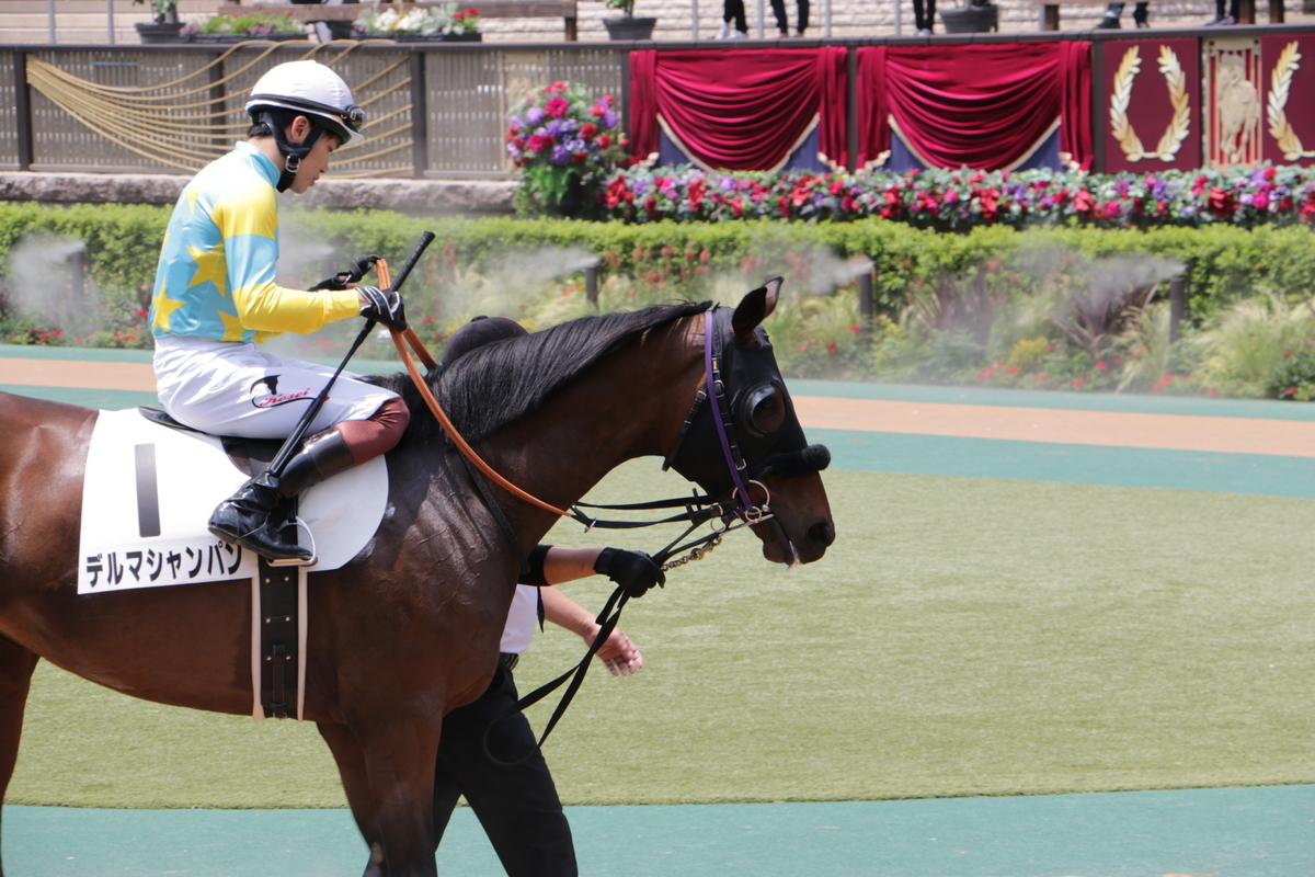 f:id:shitooo:20210531123913j:plain