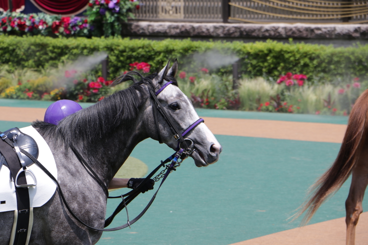 f:id:shitooo:20210531124158j:plain