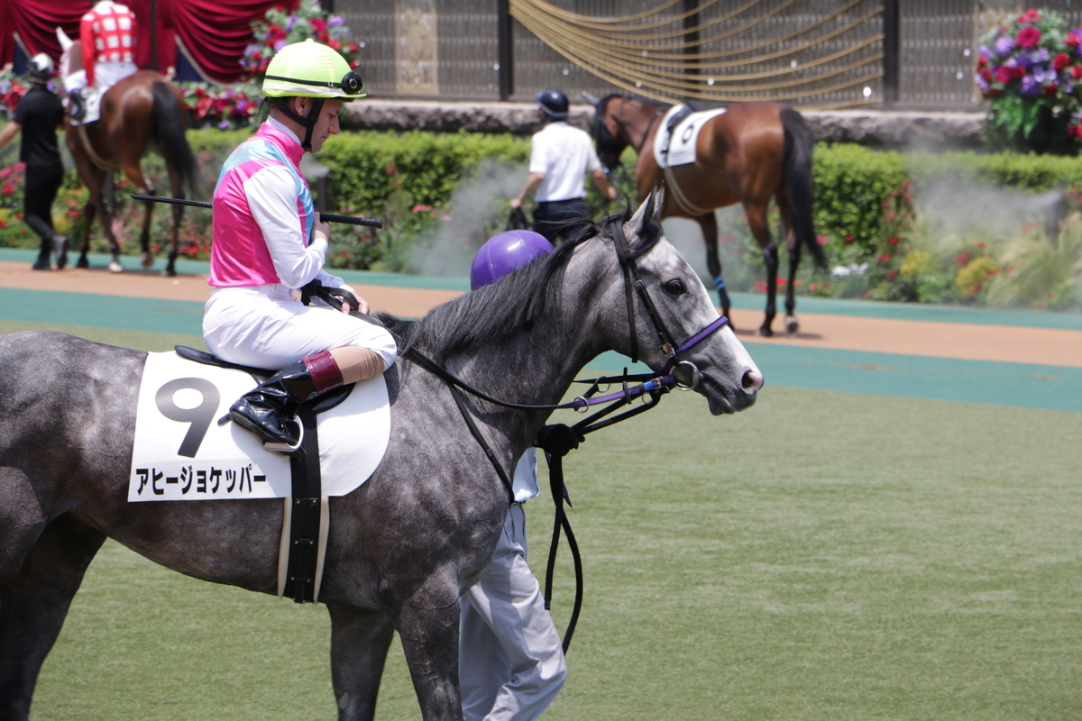 f:id:shitooo:20210531124226j:plain