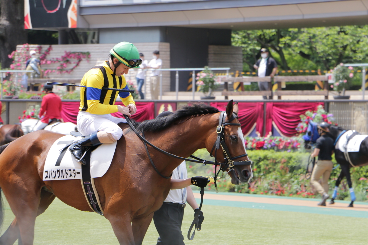 f:id:shitooo:20210531124457j:plain