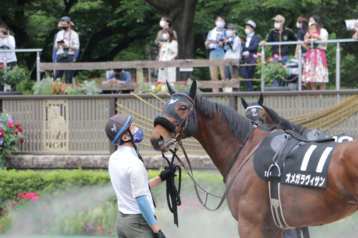 f:id:shitooo:20210531124800j:plain