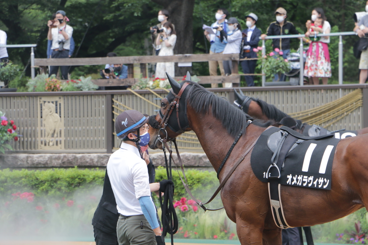 f:id:shitooo:20210531124853j:plain