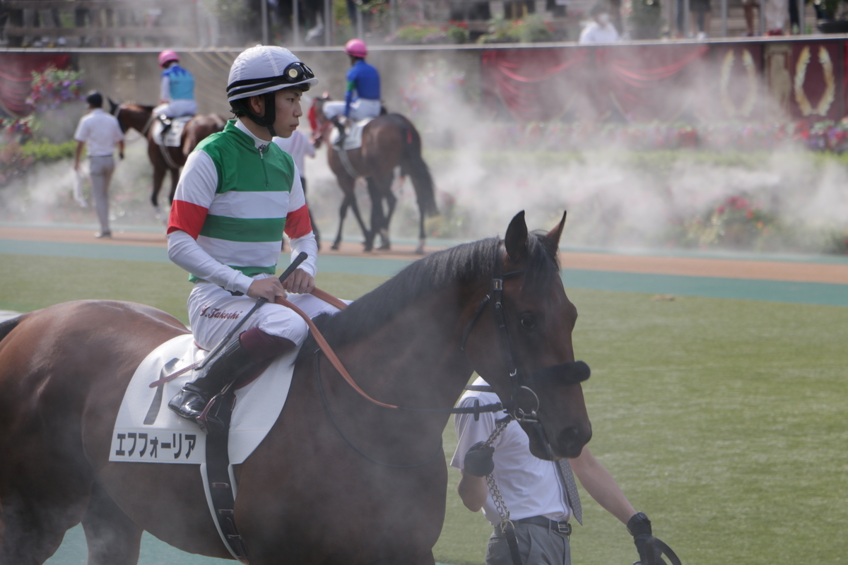 f:id:shitooo:20210531131040j:plain