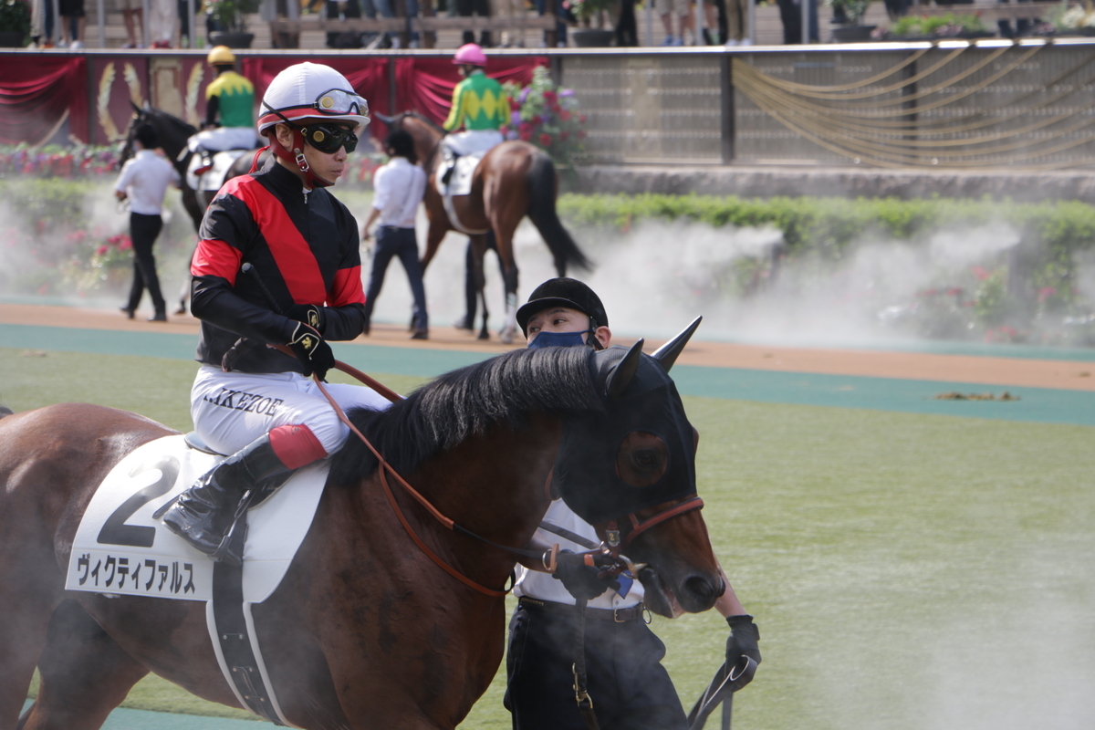 f:id:shitooo:20210531131822j:plain