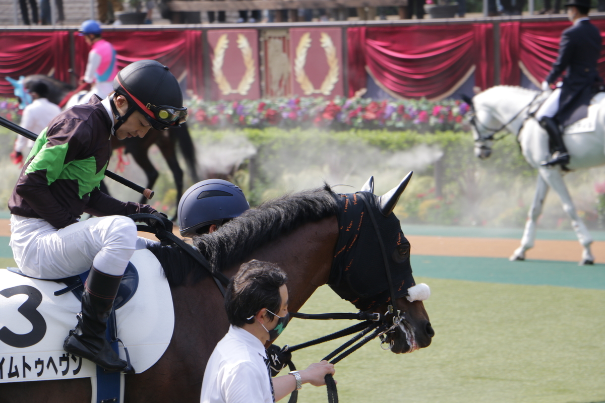 f:id:shitooo:20210531132137j:plain