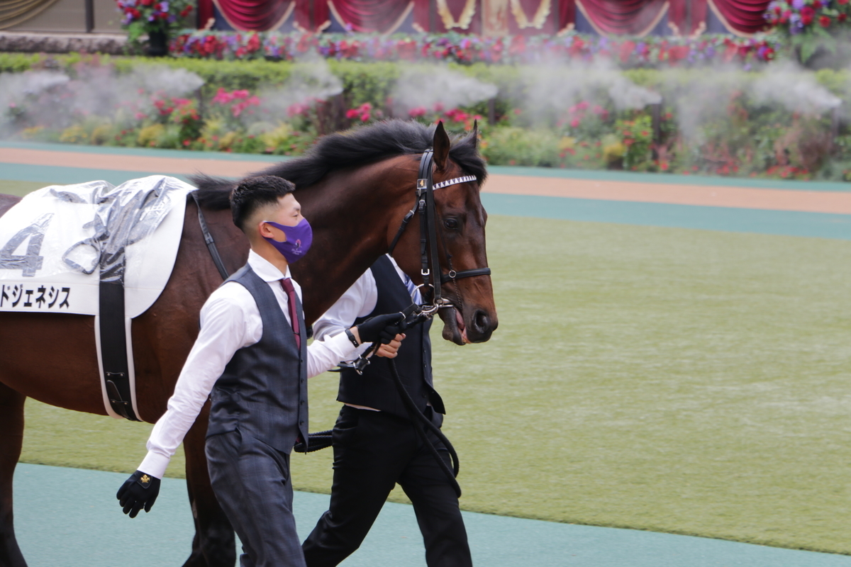 f:id:shitooo:20210531132633j:plain