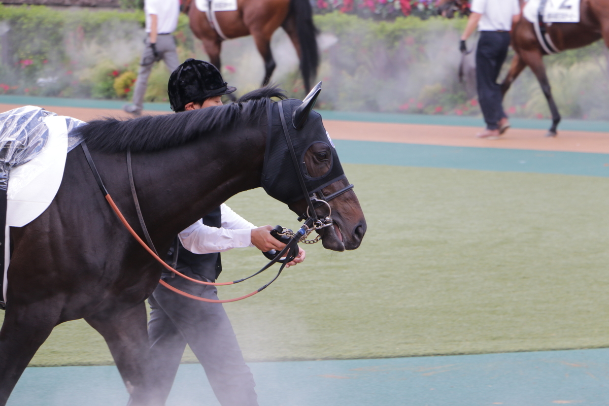 f:id:shitooo:20210531133511j:plain