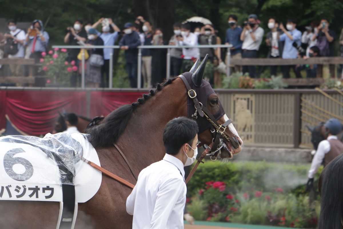 f:id:shitooo:20210531133734j:plain