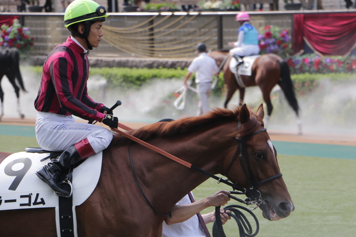 f:id:shitooo:20210531134542j:plain