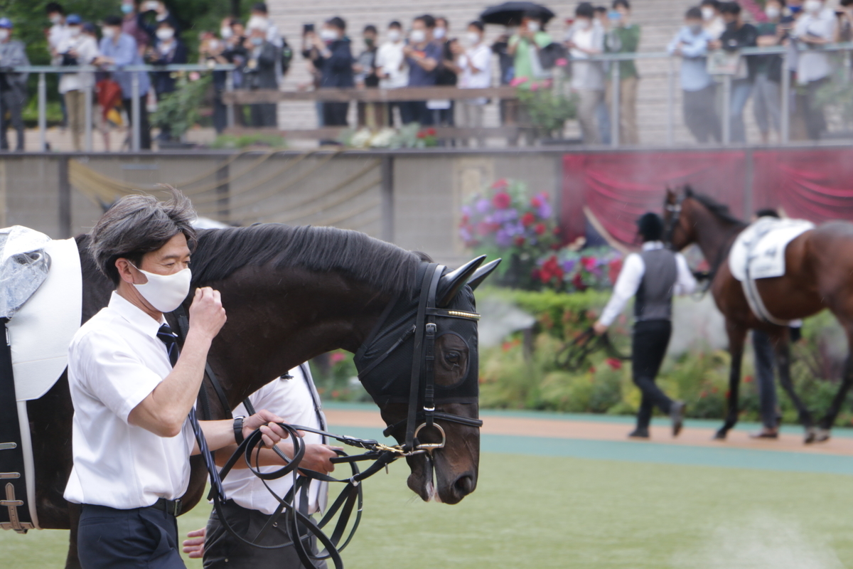 f:id:shitooo:20210531135106j:plain