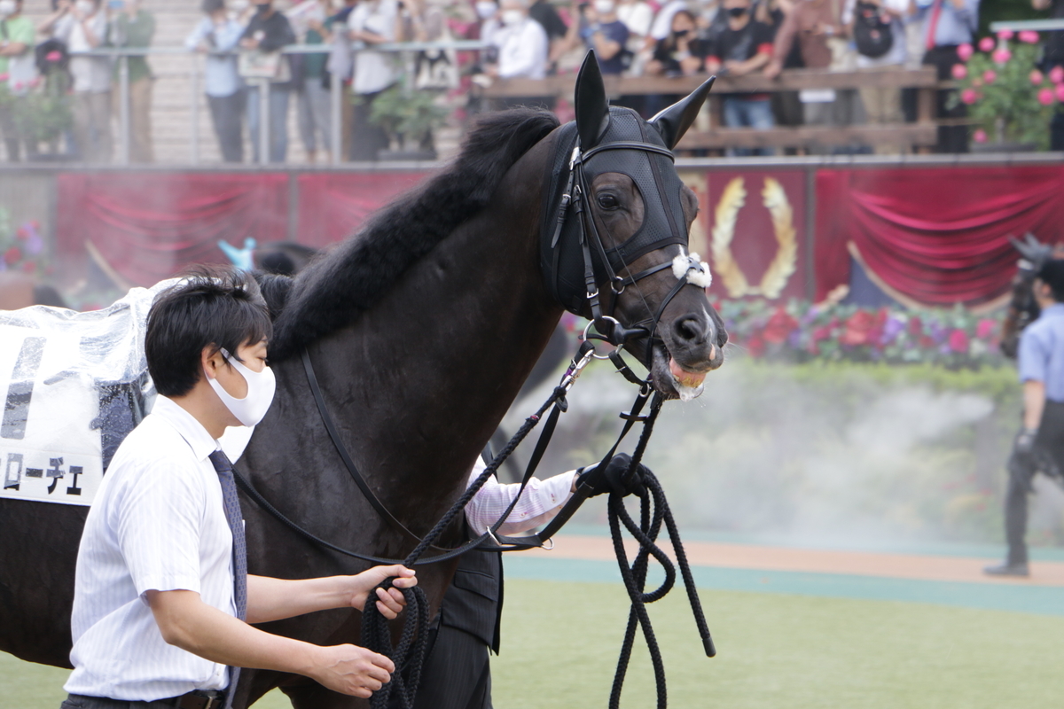 f:id:shitooo:20210531135304j:plain