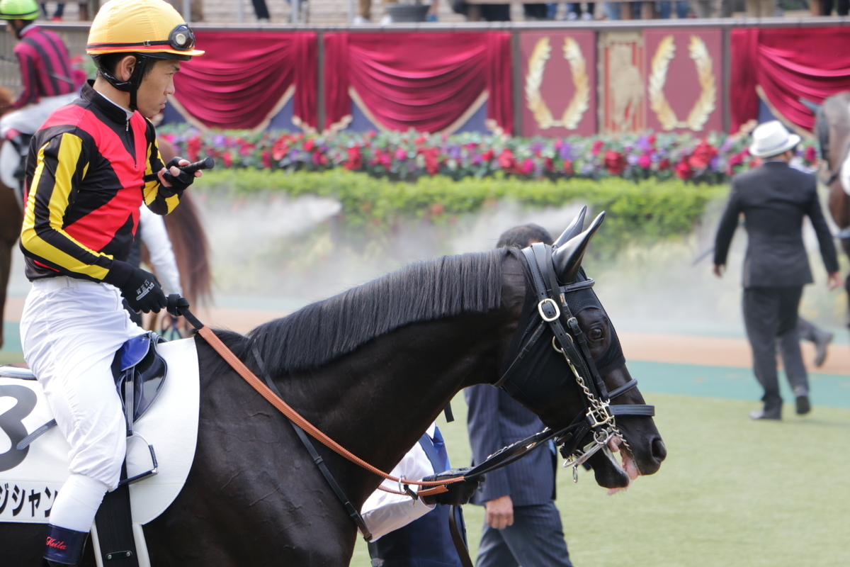 f:id:shitooo:20210531140513j:plain