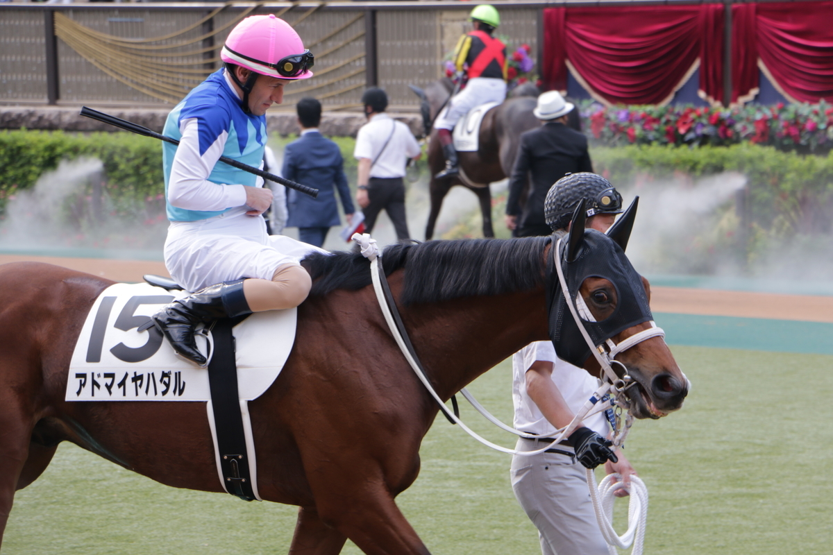 f:id:shitooo:20210531141348j:plain