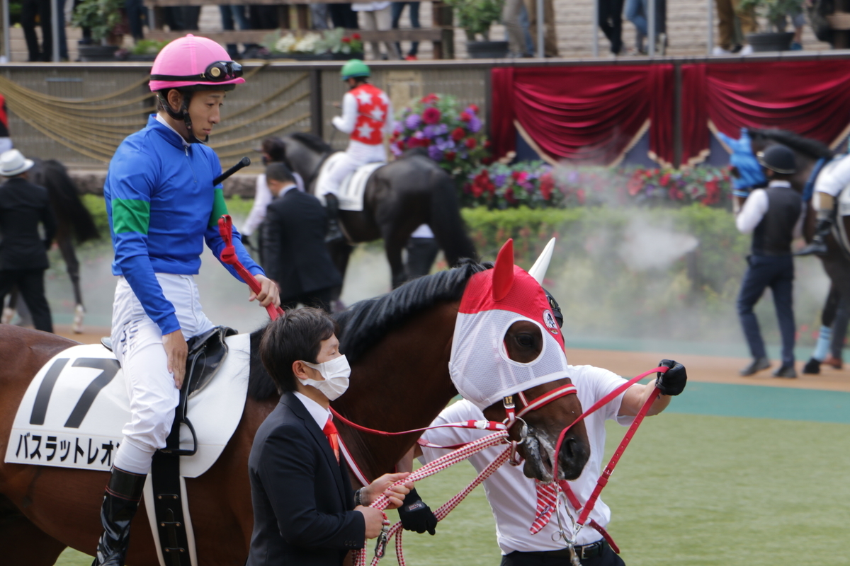 f:id:shitooo:20210531142636j:plain