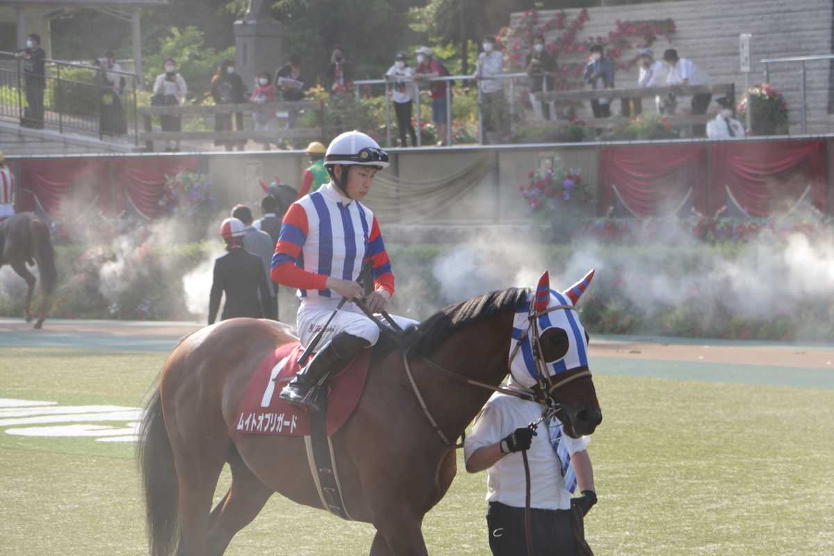 f:id:shitooo:20210531151200j:plain