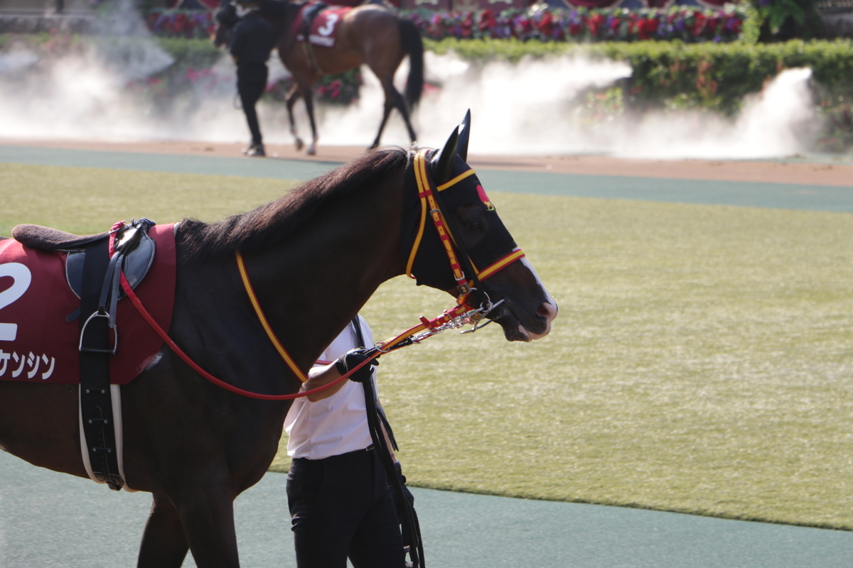 f:id:shitooo:20210531151351j:plain