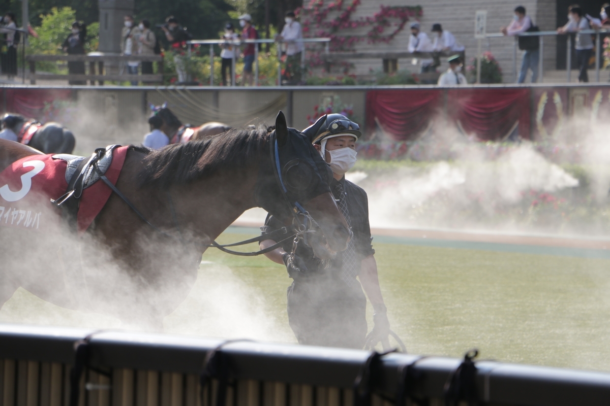 f:id:shitooo:20210531153226j:plain