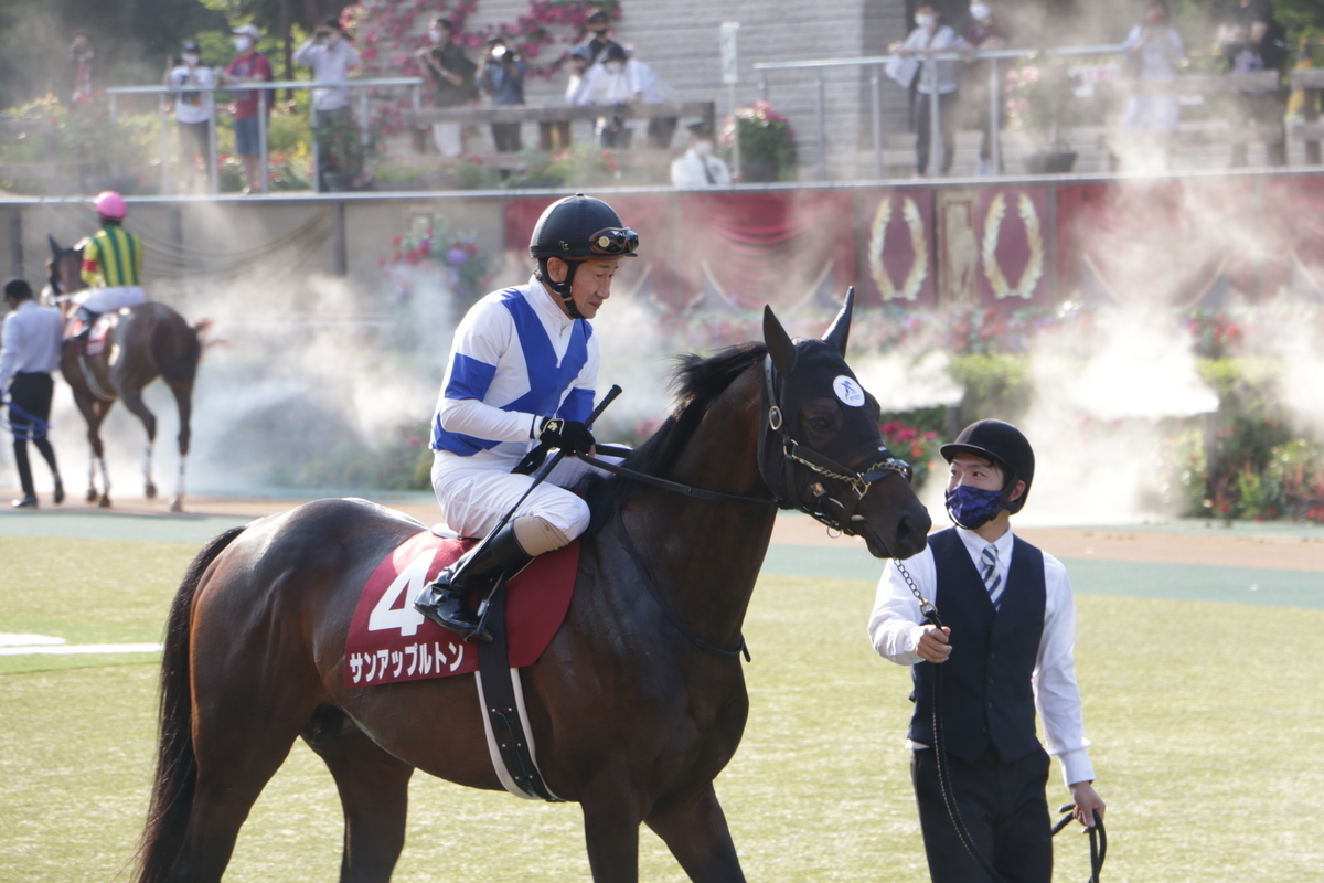 f:id:shitooo:20210531153424j:plain