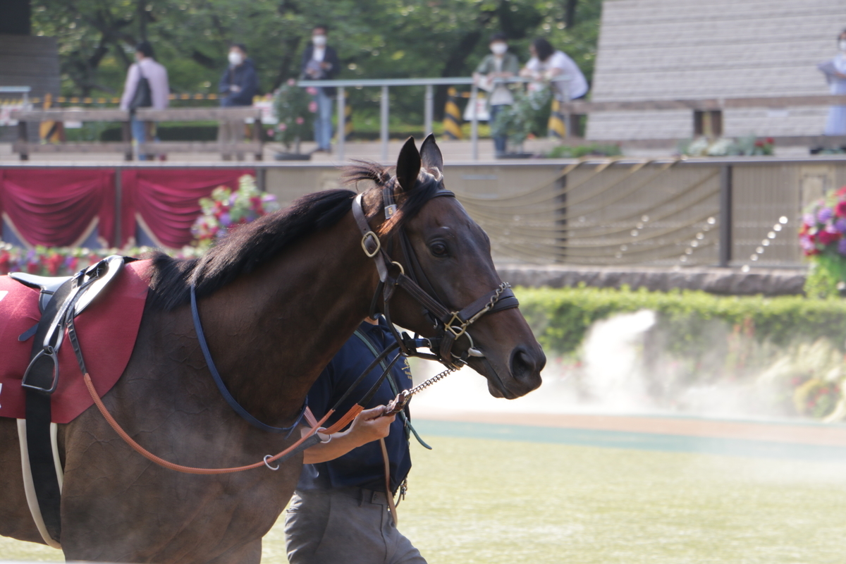 f:id:shitooo:20210531153802j:plain