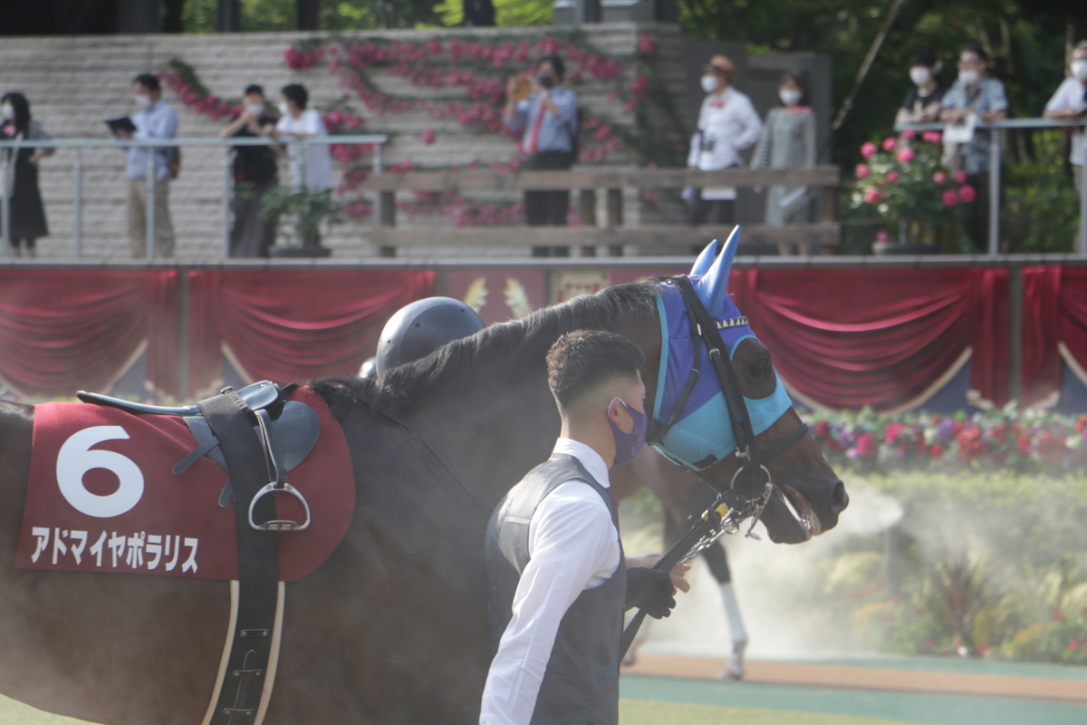 f:id:shitooo:20210531154006j:plain