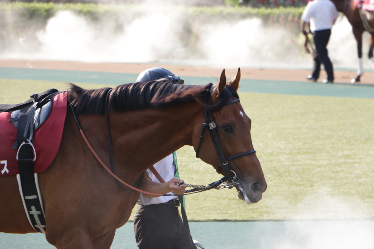 f:id:shitooo:20210531154302j:plain